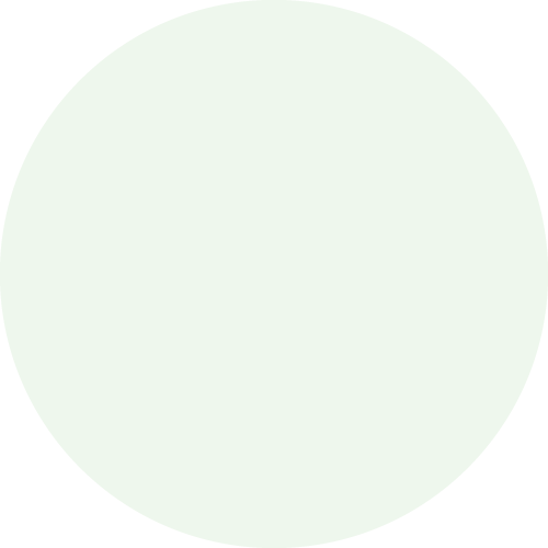 Asset 1 A large, pale green circle centered on a plain white background.