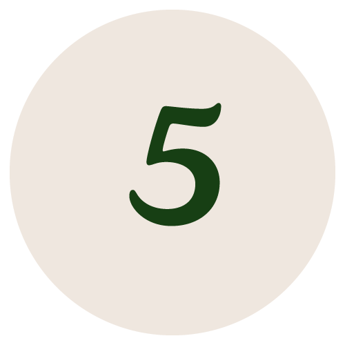 A dark green numeral 5 is displayed in the center of a light cream circle.